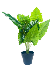 Compra Planta artificial Filodendro 40cm en DKO Home. Diseño decorativo, moderno y funcional para tu hogar. ¡Envío rápido dispon