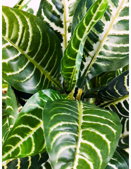 Compra Planta artificial Hojas de hierba 54cm en DKO Home. Diseño decorativo, moderno y funcional para tu hogar. ¡Envío rápido d