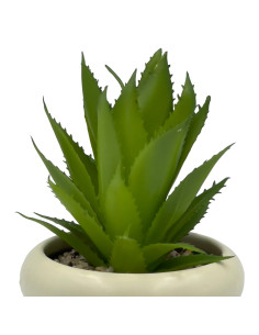 Compra Suculenta base Michelin 18cm en DKO Home. Diseño decorativo, moderno y funcional para tu hogar. ¡Envío rápido disponible! 2