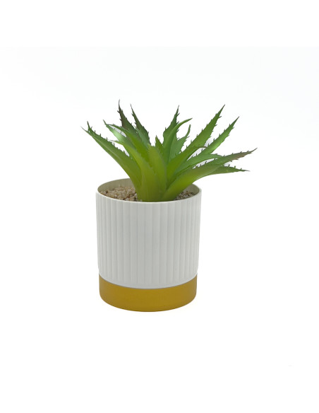 Compra Suculenta base gold ribbon 16cm en DKO Home. Diseño decorativo, moderno y funcional para tu hogar. ¡Envío rápido disponib