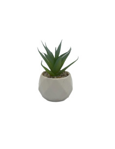 Compra Suculenta verde base prisma 10,5cm en DKO Home. Diseño decorativo, moderno y funcional para tu hogar. ¡Envío rápido dispo