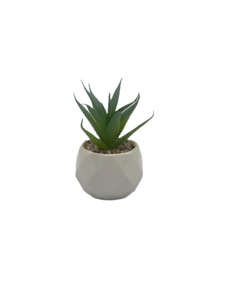Compra Suculenta verde base prisma 10,5cm en DKO Home. Diseño decorativo, moderno y funcional para tu hogar. ¡Envío rápido dispo