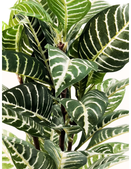 Compra Planta artificial Hojas de hierba 54cm en DKO Home. Diseño decorativo, moderno y funcional para tu hogar. ¡Envío rápido d