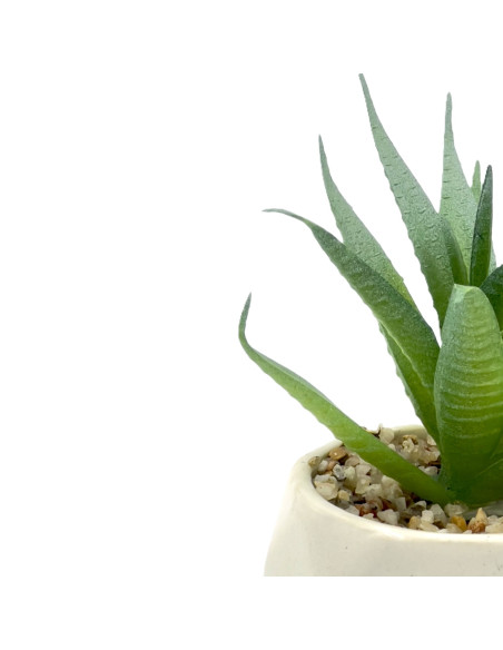 Compra Suculenta verde base prisma 10,5cm en DKO Home. Diseño decorativo, moderno y funcional para tu hogar. ¡Envío rápido dispo