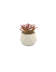 Compra Suculenta rosada base prisma 8,5cm en DKO Home. Diseño decorativo, moderno y funcional para tu hogar. ¡Envío rápido dispo