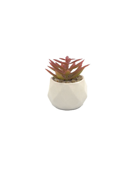 Compra Suculenta rosada base prisma 8,5cm en DKO Home. Diseño decorativo, moderno y funcional para tu hogar. ¡Envío rápido dispo