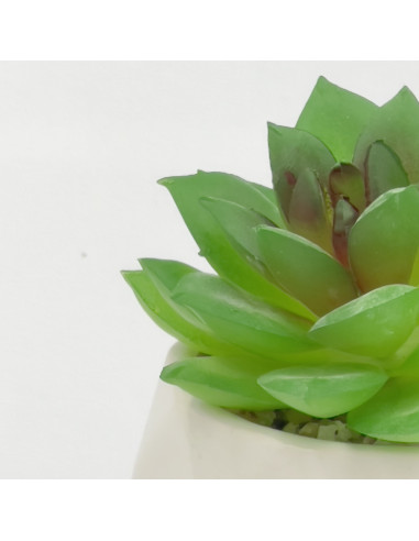 Suculenta Verde Base Prisma 8,5 cm - Decoración Natural