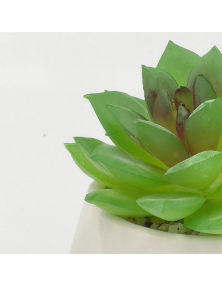 Compra Suculenta verde base prisma 8,5cm en DKO Home. Diseño decorativo, moderno y funcional para tu hogar. ¡Envío rápido dispon