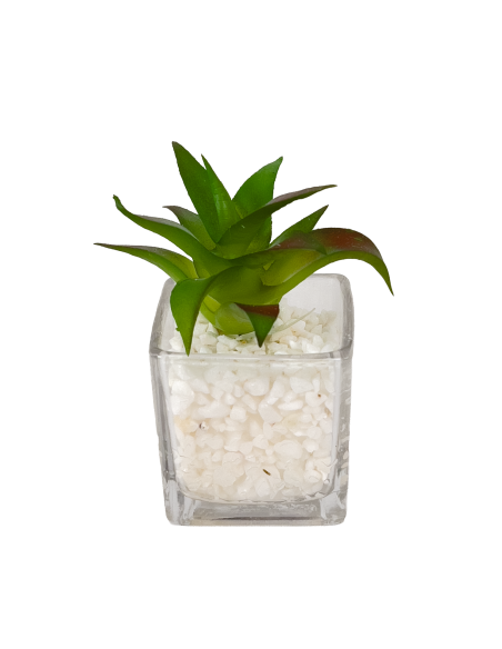 Compra Suculenta base vidrio 12cm en DKO Home. Diseño decorativo, moderno y funcional para tu hogar. ¡Envío rápido disponible!