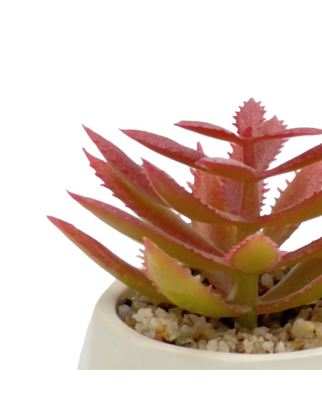 Compra Suculenta rosada base prisma 8,5cm en DKO Home. Diseño decorativo, moderno y funcional para tu hogar. ¡Envío rápido dispo