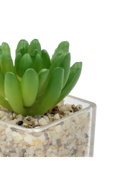 Compra Suculenta oscura base vidrio 9cm en DKO Home. Diseño decorativo, moderno y funcional para tu hogar. ¡Envío rápido disponi