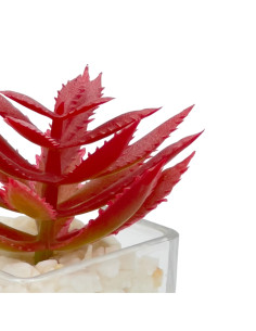 Compra Suculenta rosada base vidrio 9cm en DKO Home. Diseño decorativo, moderno y funcional para tu hogar. ¡Envío rápido disponi 2