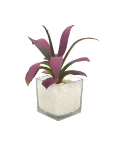 Compra Suculenta morada base vidrio 22cm en DKO Home. Diseño decorativo, moderno y funcional para tu hogar. ¡Envío rápido dispon