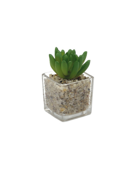Compra Suculenta oscura base vidrio 9cm en DKO Home. Diseño decorativo, moderno y funcional para tu hogar. ¡Envío rápido disponi