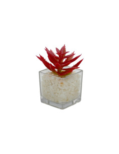 Compra Suculenta rosada base vidrio 9cm en DKO Home. Diseño decorativo, moderno y funcional para tu hogar. ¡Envío rápido disponi