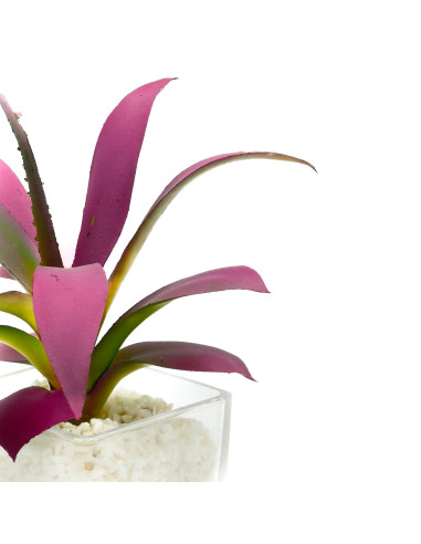 Suculenta Morada Base Vidrio 22cm - Decoración Moderna