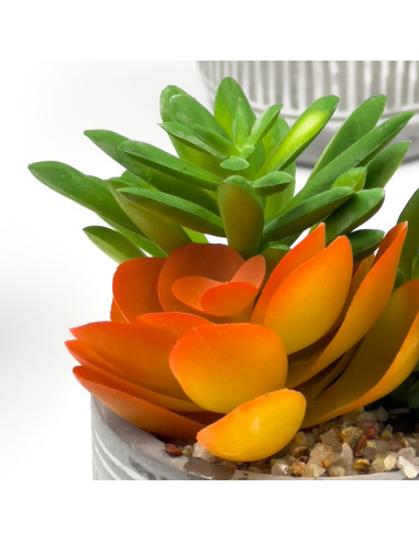 Suculenta Mix Base Cemento 18,5cm - Decoración Natural
