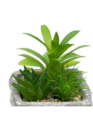 Suculenta Mix Base Piedra 13,2 cm - Decoración Natural