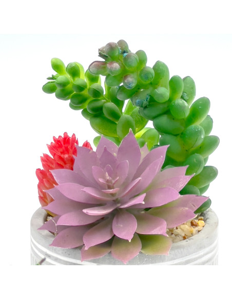 Compra Suculenta mix base cemento 18,5cm en DKO Home. Diseño decorativo, moderno y funcional para tu hogar. ¡Envío rápido dispon