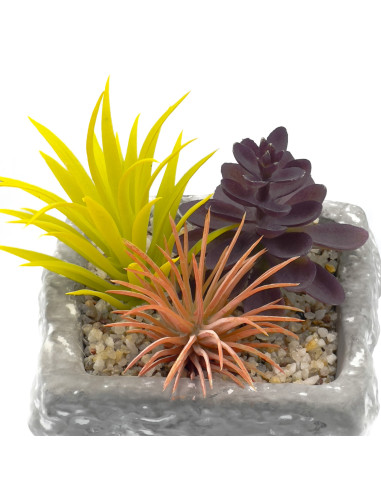Suculenta Mix Base Piedra 13,2 cm - Decoración Natural