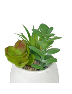 Compra Suculenta mix base blanca 12cm en DKO Home. Diseño decorativo, moderno y funcional para tu hogar. ¡Envío rápido disponibl