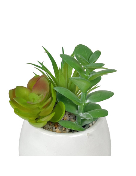 Compra Suculenta mix base blanca 12cm en DKO Home. Diseño decorativo, moderno y funcional para tu hogar. ¡Envío rápido disponibl