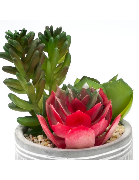 Compra Suculenta mix base cemento 18,5cm en DKO Home. Diseño decorativo, moderno y funcional para tu hogar. ¡Envío rápido dispon