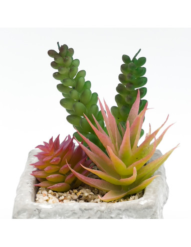 Suculenta Mix Base Piedra 13,2 cm - Decoración Natural
