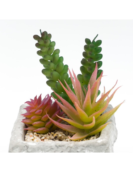 Compra Suculenta mix base piedra 13,2cm en DKO Home. Diseño decorativo, moderno y funcional para tu hogar. ¡Envío rápido disponi
