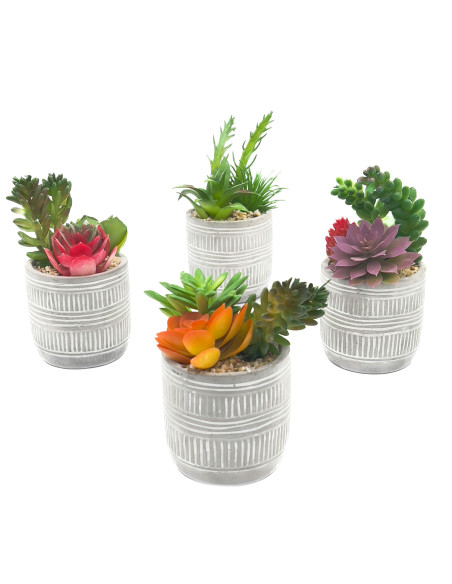 Compra Suculenta mix base cemento 18,5cm en DKO Home. Diseño decorativo, moderno y funcional para tu hogar. ¡Envío rápido dispon