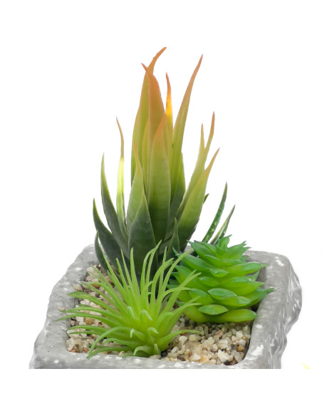 Compra Suculenta mix base piedra 13,2cm en DKO Home. Diseño decorativo, moderno y funcional para tu hogar. ¡Envío rápido disponi