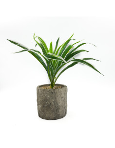 Compra Planta artificial 36cm en DKO Home. Diseño decorativo, moderno y funcional para tu hogar. ¡Envío rápido disponible! 2