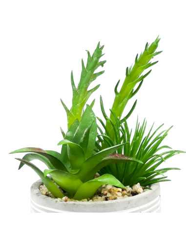 Suculenta Mix Base Cemento 18,5cm - Decoración Natural