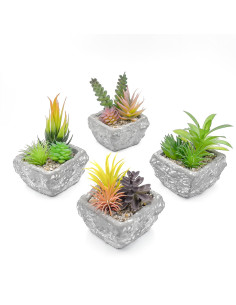 Compra Suculenta mix base piedra 13,2cm en DKO Home. Diseño decorativo, moderno y funcional para tu hogar. ¡Envío rápido disponi