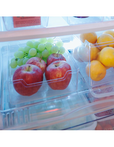 Caja Organizadora de Plástico Resistente y Versátil