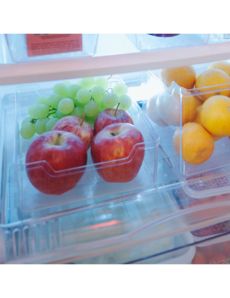 Caja organizadora plástico 25x20x8cm