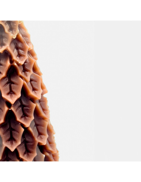 Vela árbol 6,5x14cm café