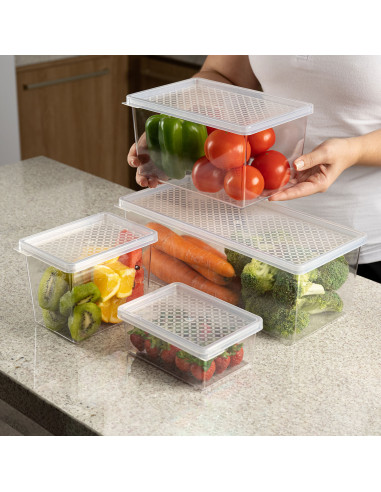 Contenedor de Alimentos con Tapa 2.9L - Almacenamiento Cocina