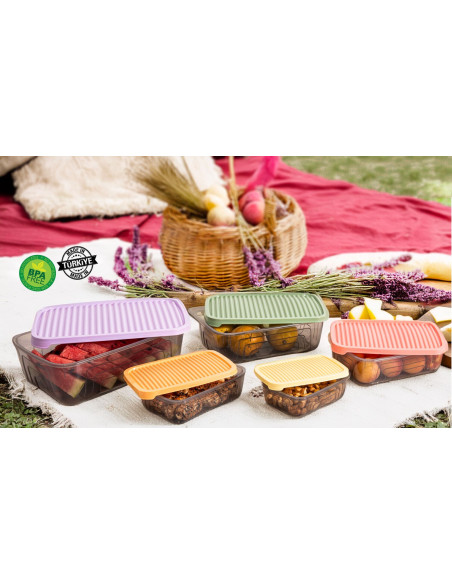 Set 5 Contenedores plásticos multicolor XS-S-M-L-XL