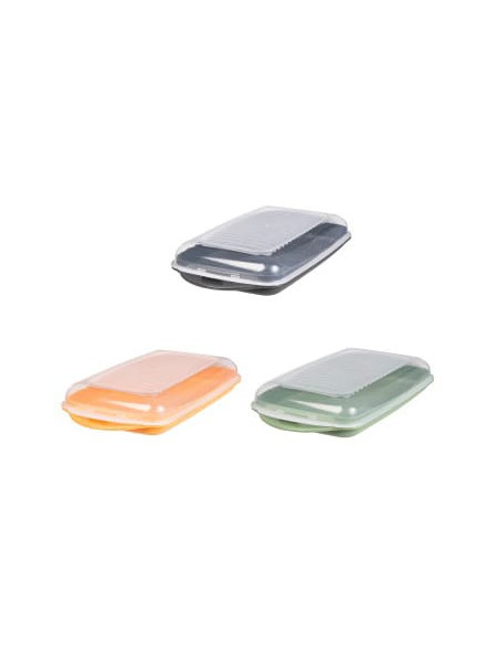 Contenedor plástico 12x21,4x3,7cm