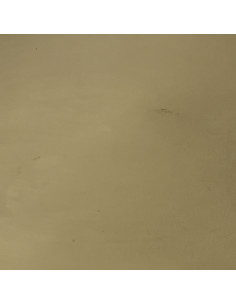 Bandeja ovalada dorada 23,5x15x1cm 2