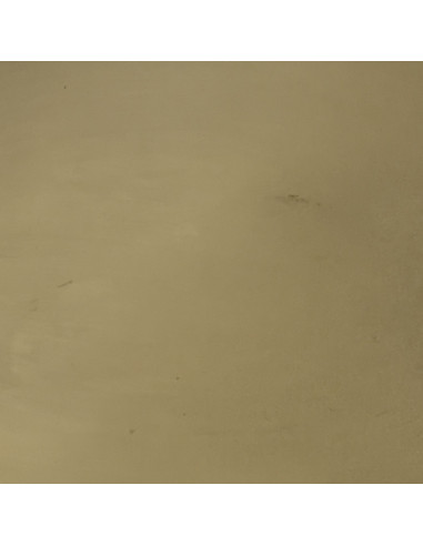 Bandeja Ovalada Dorada 23,5x15x1cm - Elegante y Funcional