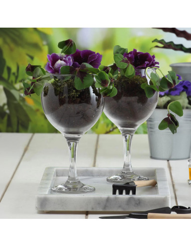 Copon 645ml set de 6