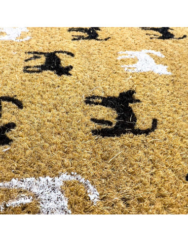 Limpiapies Gatos Blanco y Negro 40x60cm - Decorativo y Funcional