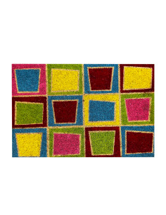 Limpiapies 40x60cm cuadro colores