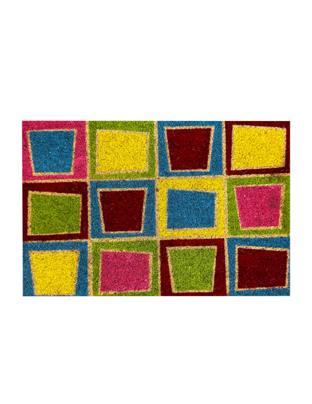 Limpiapies 40x60cm cuadro colores