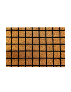 Limpiapies 40x60cm cuadro