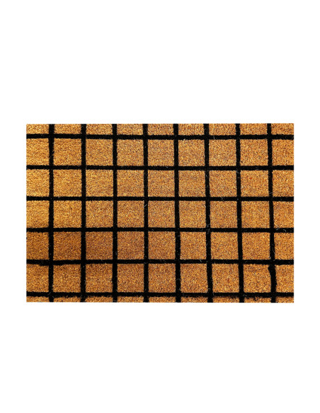 Limpiapies 40x60cm cuadro