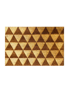 Limpiapies 40x60cm triángulo