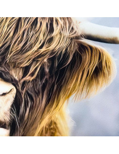 Canvas 70x100cm buey 2